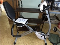 Stamina Exercise Bike