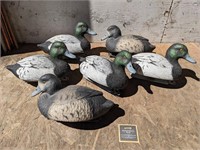 Higdon Plastic Duck Decoys