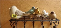 Bird collection
