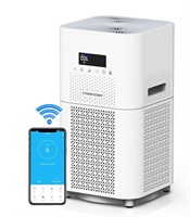 Air Purifier for Home Large Room,H13 True HEPA