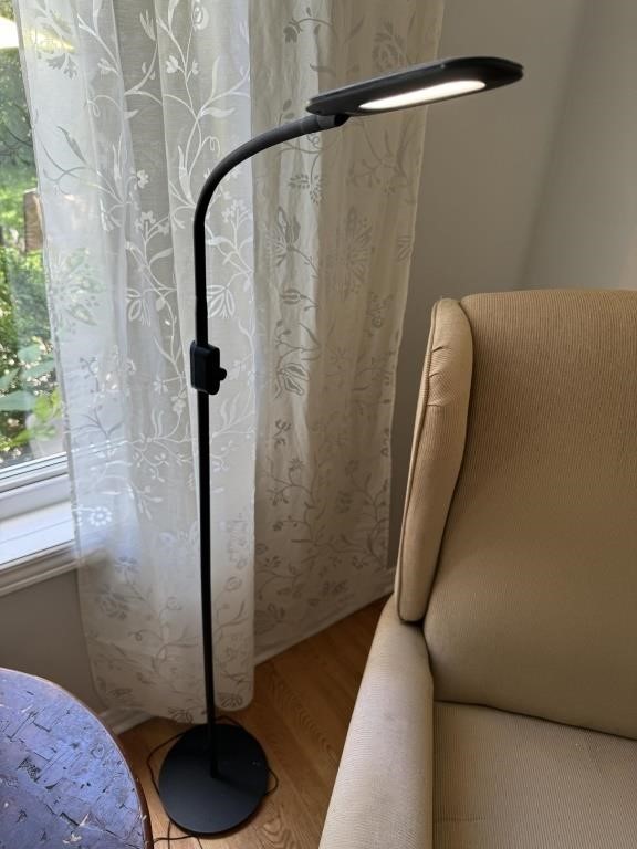 Dimmable Task Floor Lamp