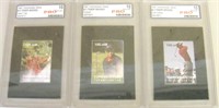 Set of 3 Tiger Woods Stamps in Cases