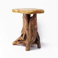 WELLAND Tree Stump Side Table, Live Edge Stool, Na