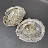 Pair of Abalone Shells Some Damage