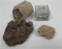 Lot of 4 Fossils & Ore