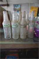 Sunkist Paper Holder w/ 10 oz Crush Glass Bottles