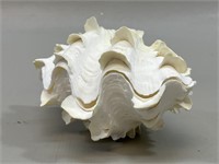 Unique seashell trinket box