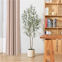 E5059  DR.Planzen 5FT Olive Tree, 8.6" Planter