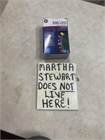 Martha Stewart & 100 LED lights