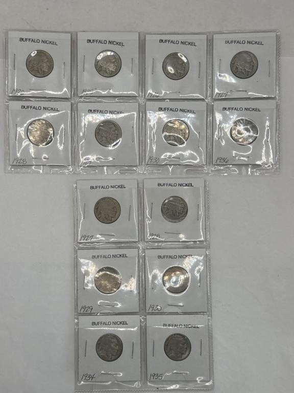 Coins-14 Buffalo Nickels