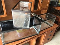 3- aquariums one all for one price
