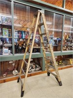 8' Werner Step Ladder