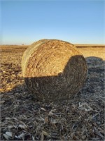 30 Bales - 2020 Cornstalks