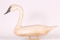 Early Swan Decoy By Unknown Carver, Solid Body,