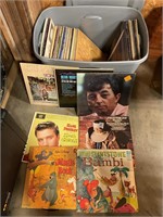 Tote of vinyl records