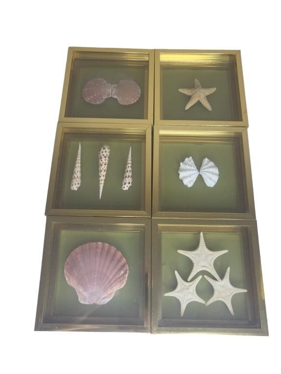 Lot of 6 Sea Animals in Gold Framed Shadow Boxes