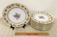 BEAUTIFUL PLATE SET (12)