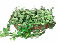 Artificial Plant in Basket