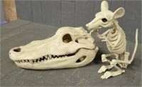 Plastic Rat & Alligator Skeletons