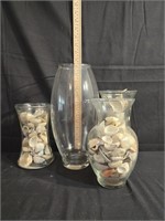 Seashells & Clear Vases
