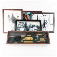 Vintage Style Fishing Display Case and Photos (5)