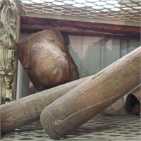 Baseball glove, bat, unusual piece of wood