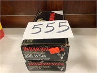 Winchester 300 swm ammo