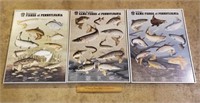 3ct Vintage Poster Game Fishes of PA Framed