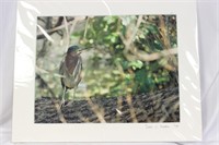 A Signed Bird Photograph