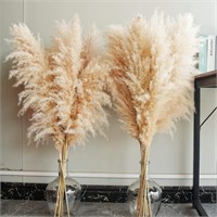 40 Natural Pampas Grass  10 Stems for Events