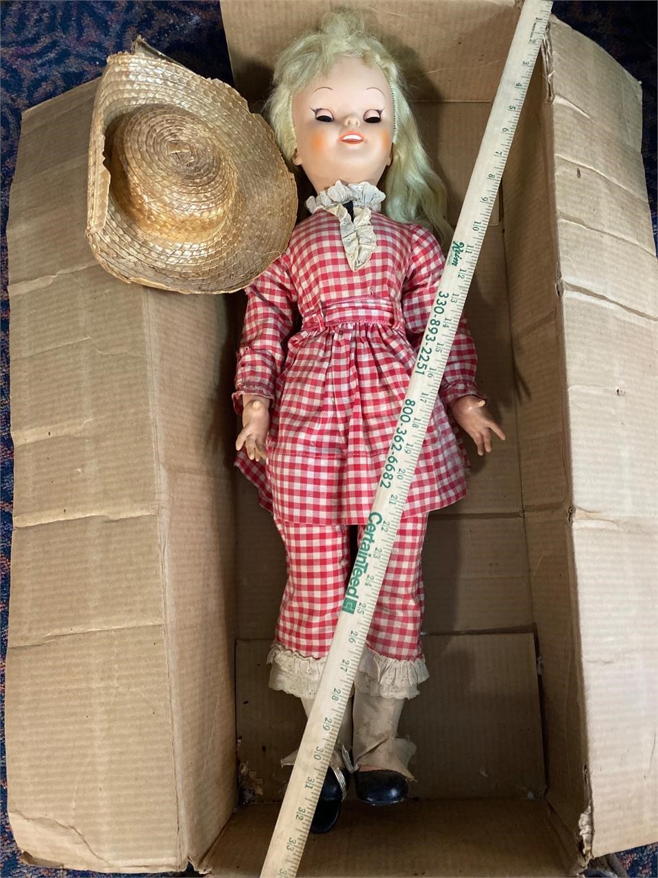 The Pollyanna Doll