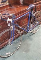 Dynasty free spirit bicycle