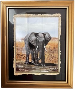 Jackie Thompson Elephant Print