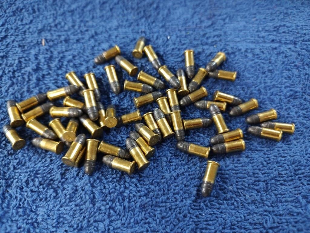 Pk of 22 Short Bullets (58))