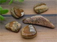 PICTURE JASPER ROCK STONE LAPIDARY SPECIMEN