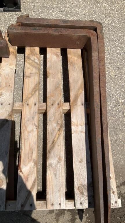 Class 2 Pallet Forks 42 in