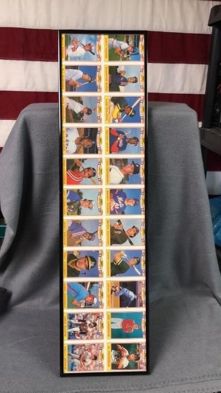 baseball cards hanger