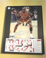 Michael Jordan & schedule