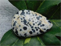 DALMATION JASPER CABOCHON ROCK STONE LAPIDARY SPEC