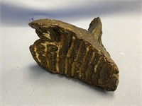 Stabilized wooly mammoth tooth with roots, about 6