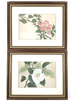 2 Framed Botanical Floral Woodblock Prints