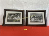 2 FRAMED WILD HORSE PICTURES