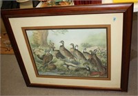 FRAMED AND MATTED QUAIL PRINT