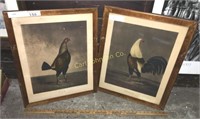 LOT 2 ANTIQUE ROOSTER LITHOGRAPHS (WAR & PEACE)