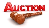 June 27th Auction!