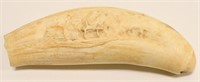 Hand Carved Walrus Tusk