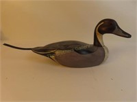 Pintail Drake Duck, Hand Finished - 15.5" Long