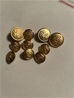 Bag of Gold Buttons