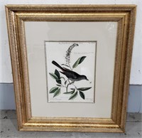 (E) The Catbird Engraving No. 32 (21"×24-1/2")