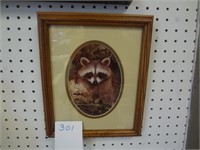 FRAMED RACCOON PICTURE